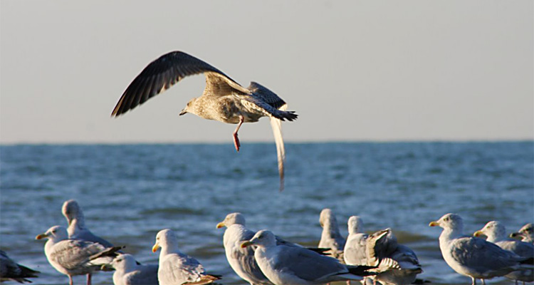 campingwarande_home_04 campingwarande_home_04