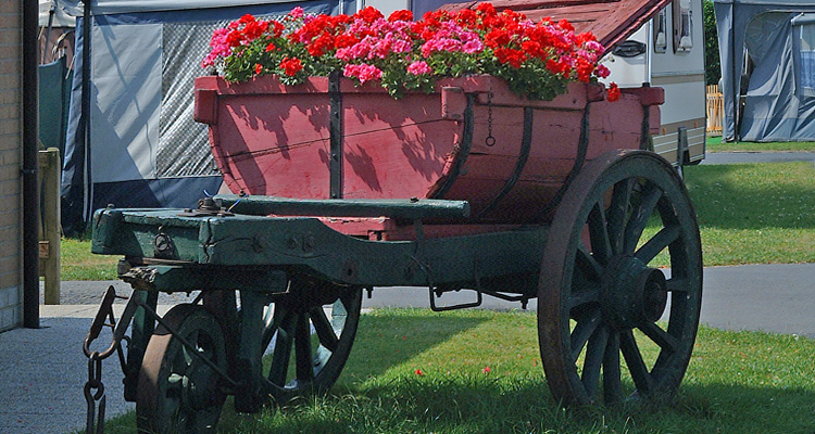 campingwarande_home_DSCF0039 campingwarande_home_DSCF0039